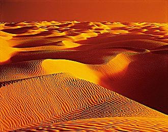 《索尼克大乱斗》5月8日多平台发布 32人大混战