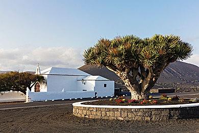 EA Sports寻求未来5年将玩家扩张到5亿 通过新商业模式、新领域